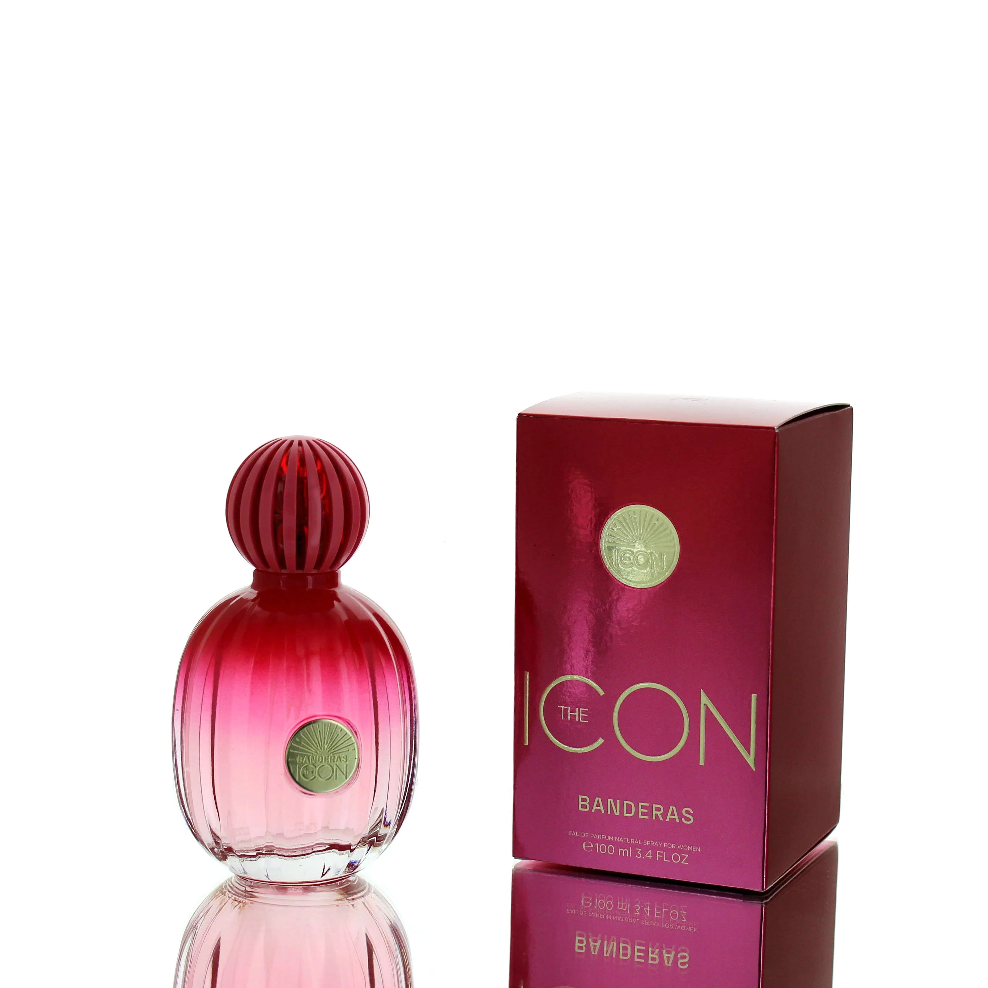 Antonio Banderas The Icon For Woman